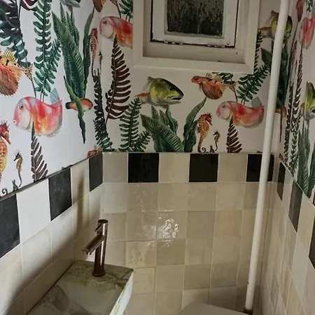Westerstraat, Cozy Beachside Getaway With Sauna, Outside Area And Parking Spot Zandvoort
